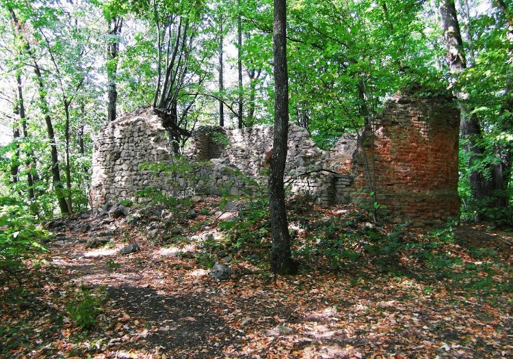 Ruinele Capelei Batthyany, Aleșd, Romania, Romania